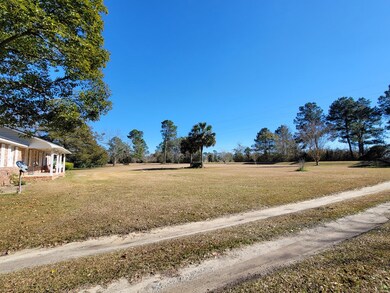129 Sardis Church Rd, Moultrie, GA 31788 - photo 4