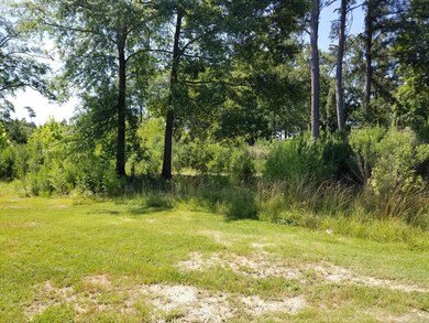 7120 Alcoa Rd, Bryant, AR 72015 - photo 5