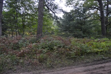 North Side of Road