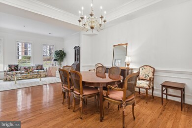 8505 Gavin Manor Ct, Chevy Chase, MD 20815 - photo 6