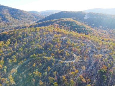 tbd1 Calf Mountain Rd, Waynesboro, VA 22980 - photo 4