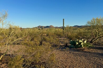 LAZY C RANCH ~ LOT 1