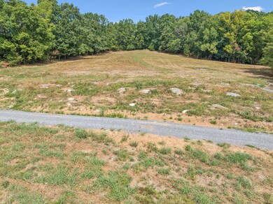 0 Hogans Creek Rd unit RTC3049789, Carthage, TN 37030 - photo 7