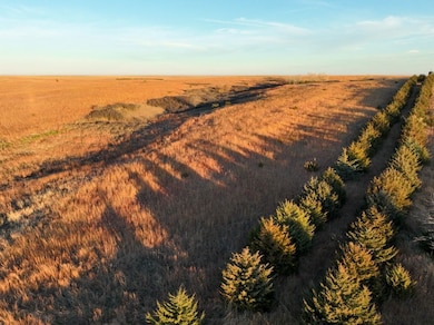 2 Road unit LotWP001, Stockton, KS 67669 - photo 4