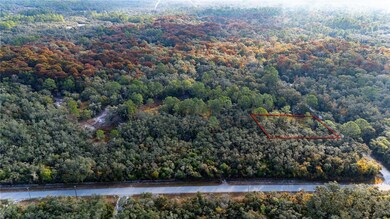 0 Rose Bloom Lot 7 Ave unit MFRTB8450296, Webster, FL 33597 - photo 5