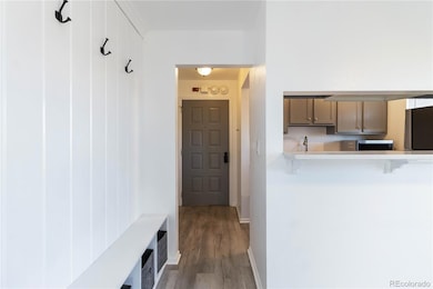 1263 S Gilbert St unit B-201, Castle Rock, CO 80104 - photo 3