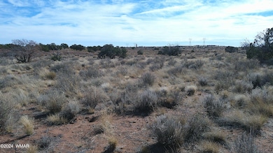 DSCF0006