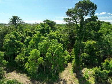 DJI_0478