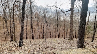 288 Crossroads Dr, Flint Creek, OK 74347 - photo 2