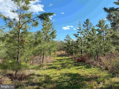 0 Cabell Lane (Tract: 5810 Thomas M Brooks) unit VABH2000204, New Canton, VA 23123 - photo 7