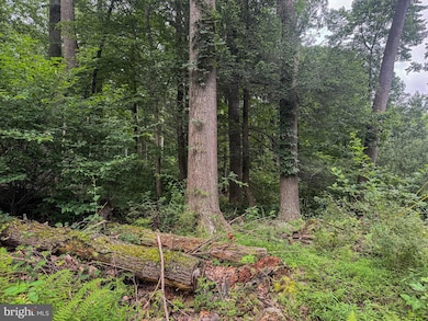 0 Laurel Dale Rd, New Creek, WV 26743 - photo 7