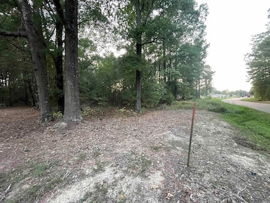 210 Ouachita Ave SW, Camden, AR 71701 - photo 2