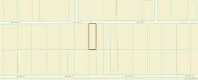 00000 SW 57th Place, Dunnellon, FL 34432 - photo 5