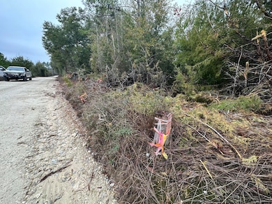 Tract#6418 Mattox Springs Rd unit North 2, Caryville, FL 32427 - photo 6