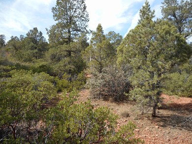 Vegetation