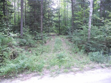 141 Sparling Hill Rd, Unity, NH 03743 - photo 2