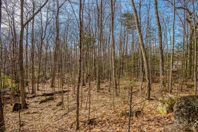 0 Spruce unit Lot 9 4948918, Wolfeboro, NH 03894 - photo 4