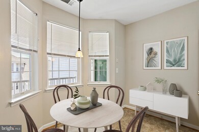 5002 Willow Branch Way unit 302, Owings Mills, MD 21117 - photo 7