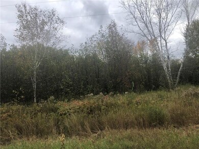 TBD W Wilson Rd, Glen Flora, WI 54526 - photo 3