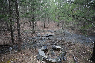 21010 Trailing Vine Ln, Lebanon, MO 65536 - photo 2