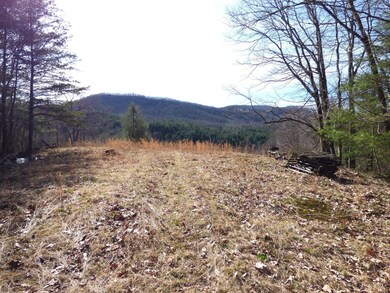 0 Alto Rd unit 342956, Vesuvius, VA 24483 - photo 5