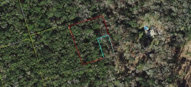 xx Keerns Dr, Crawfordville, FL 32327 - photo 4