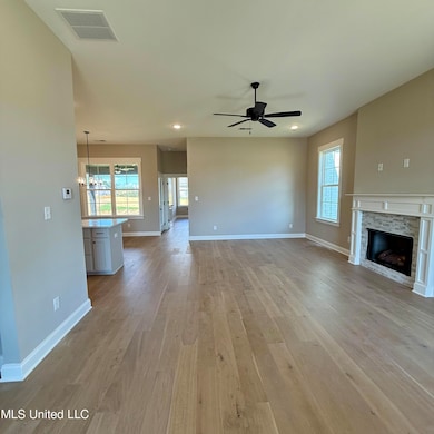 768 Coahoma Ct, Hernando, MS 38651 - photo 7