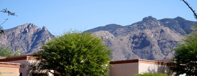 Living Room View