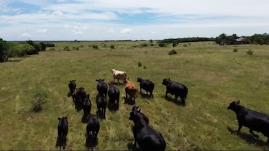 7.5 acres Wright & Keyes Rd, Sherman, TX 75092 - photo 3