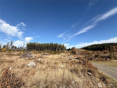 132 xx Algyer Rd SE, Rainier, WA 98576 - photo 5