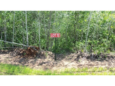 LOT 12 Red Maple Ln, Siren, WI 54872 - photo 2