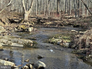 0 Corner Rt 259 S & Hunkerson Gap Rd unit WVHD2001852, Mathias, WV 26812 - photo 5