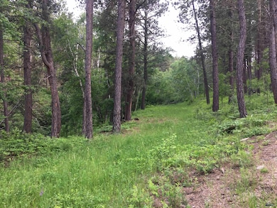 0 Danube Ln, West Pennington, SD 57702 - photo 2