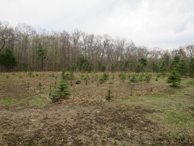 Lot 00 Moulton Hill Rd, Monson, MA 01057 - photo 5