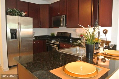 8045 Newell St unit 216, Silver Spring, MD 20910 - photo 6