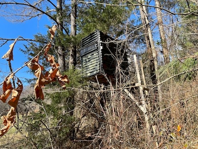 0 Cr 437 unit 24-2709, Ashland, MS 38603 - photo 4