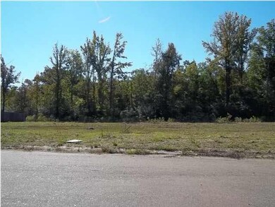 Nice lots that back up to Natchez Trace