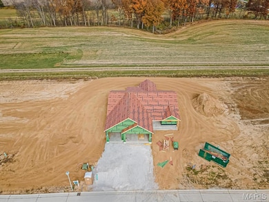 1123 Waymaker Ln, Waterloo, IL 62298 - photo 3