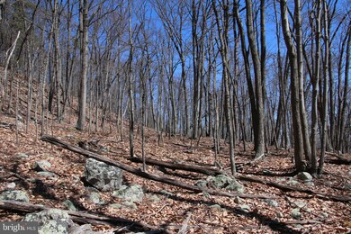 0 Back Rd unit VASH2003604, Toms Brook, VA 22660 - photo 4