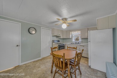 19 Grant St, Shickshinny, PA 18655 - photo 4