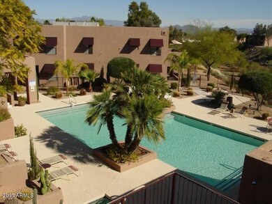 quail run pool view