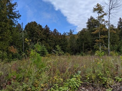 Lot D Lake Michigan (6)