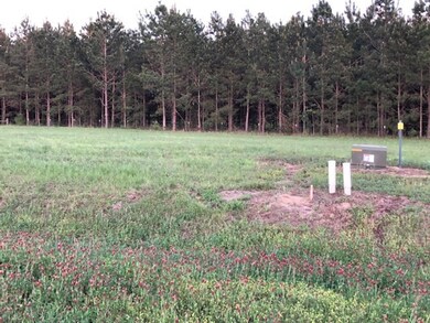 105 Paces Ln, Boston, GA 31626 - photo 4