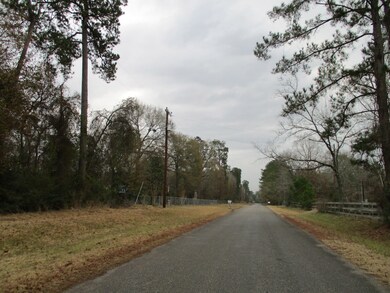 Lot 63 Willow Creek Rd, Hockley, TX 77447 - photo 3