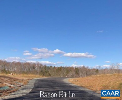 115 Bacon Bit Ln, Louisa, VA 23093 - photo 4