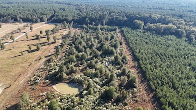 3711 Felix Currie Rd, Oakhurst, TX 77359 - photo 7