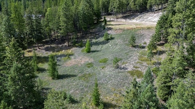 Nhn Jackson Meadows Rd, Kila, MT 59920 - photo 2