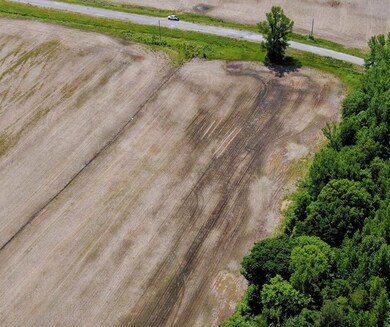 + - 69 Acres unit Calhoun County MS, Bruce, MS 38915 - photo 4