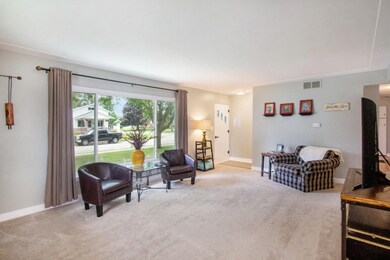 523 Amity St SE, Lowell, MI 49331 - photo 6