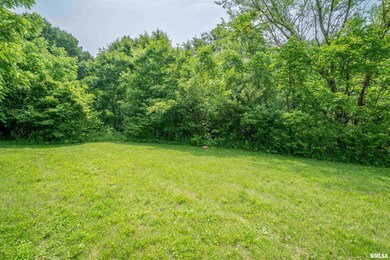 5115 W Harp Hollow Rd, Peoria, IL 61607 - photo 4